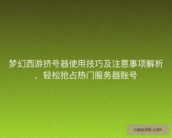 梦幻西游挤号器使用技巧及注意事项解析，轻松抢占热门服务器账号