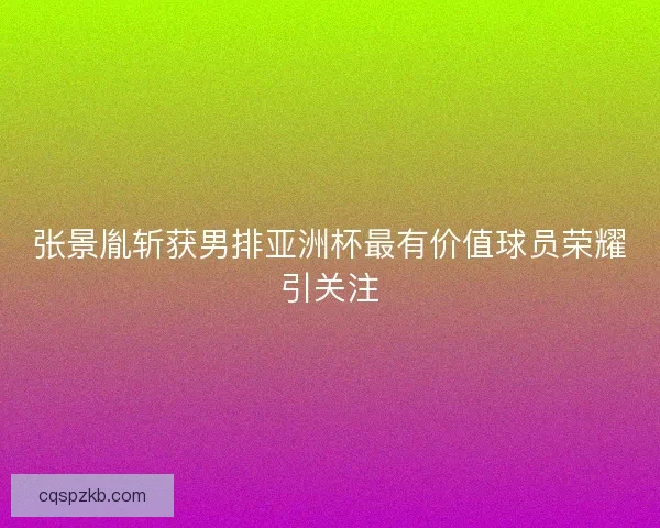 张景胤斩获男排亚洲杯最有价值球员荣耀引关注